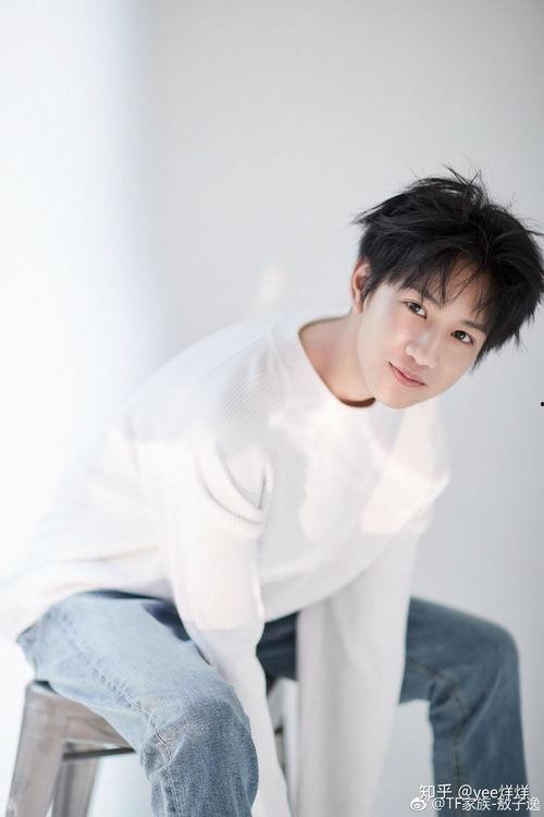 爆料娱乐圈敖子逸小说,敖子逸的璀璨星途