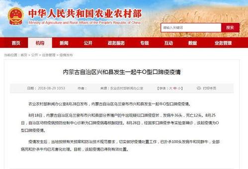 内蒙新闻爆料,揭秘当地最新热点事件